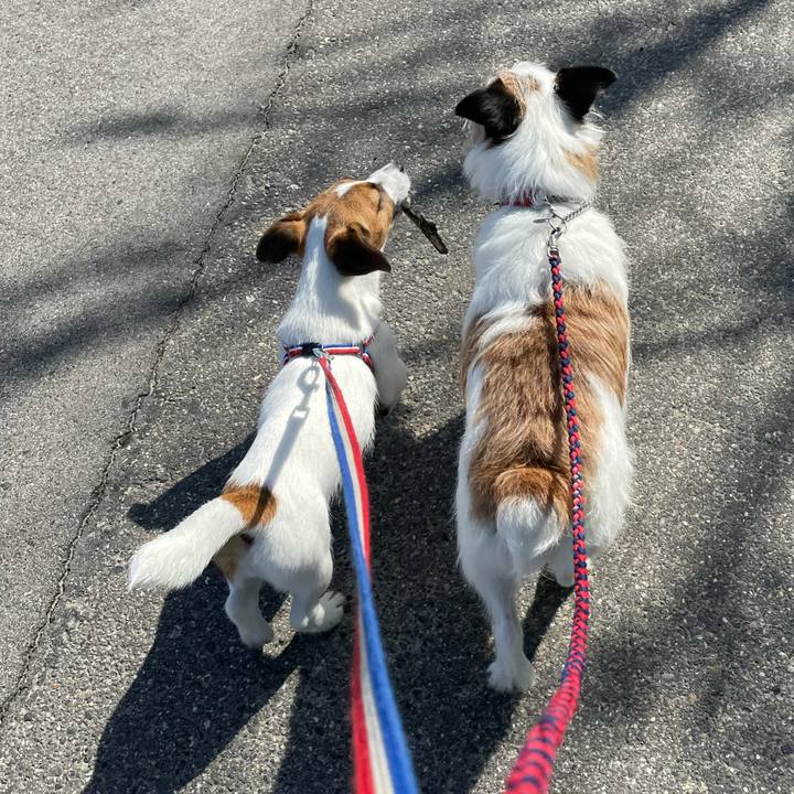 F3f5319b 92a6 412f bfab 3b5db2702d8d 1621986506692