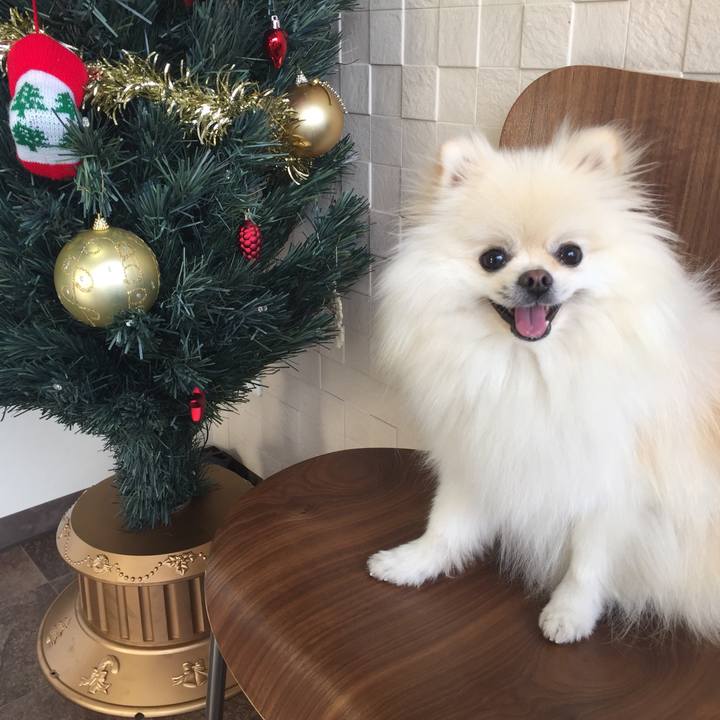 F3f5486b da61 4adb 9d30 12fcc5142850 1544160146683