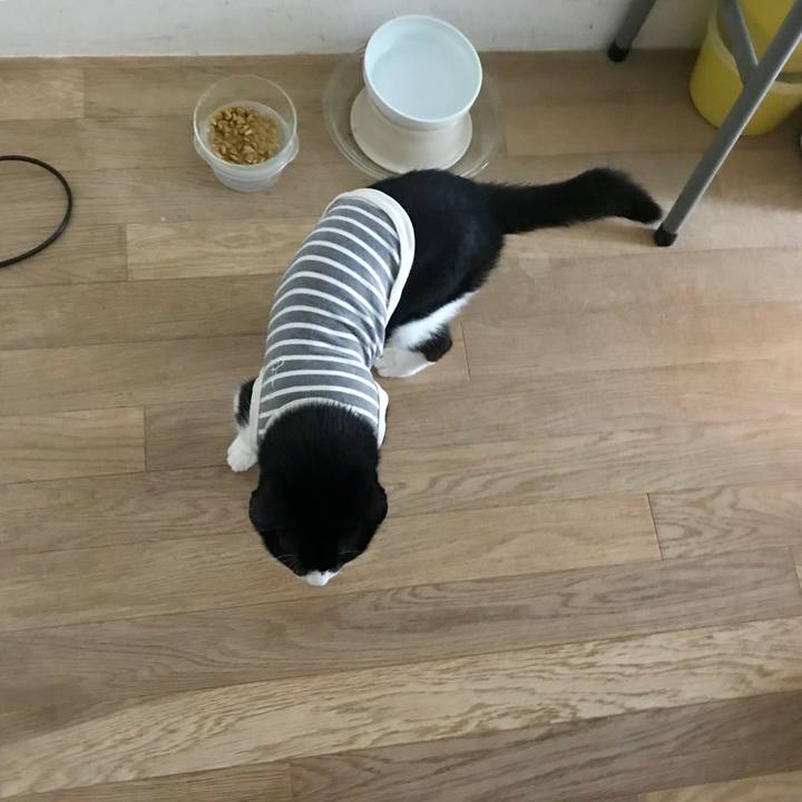 F3f5624c dcc9 4a8d 8567 1a8ba20b78a7 1538278653964