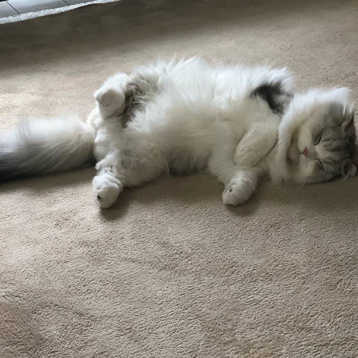 F3f569b4 93c6 44c9 9d8f 3a1562b73427 1636198524584