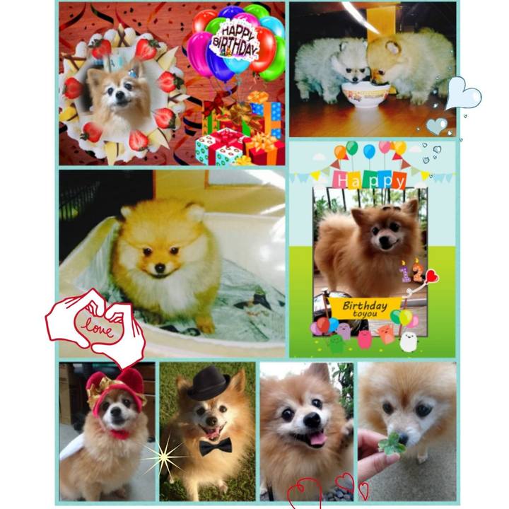 F3f575c0 54f7 448a 89c7 055a98106a01 1542607214189