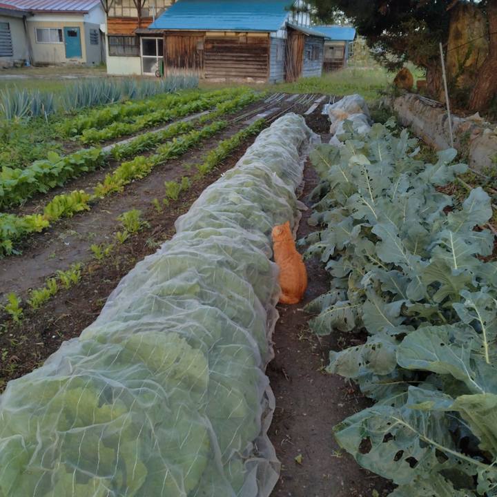 F3f5b0df eca1 47e4 bd70 58e3c097a6cd 1696199931535