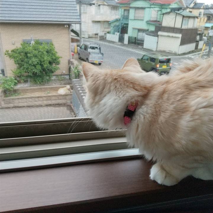 F3f5ec5e b814 4ce0 8296 8fd696de95f1 1618384799124