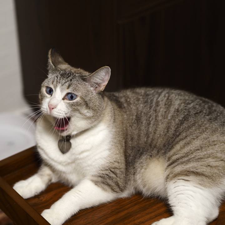 F3f5fbc1 0f3f 4395 9c0e 4a1855c3fead 1630402616484