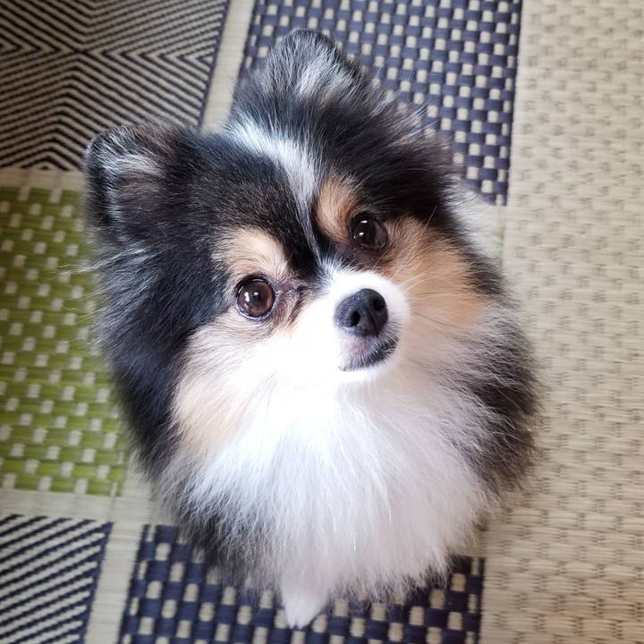 F3f63ee0 b2e3 469f a6b3 a1193798775c 1532473551882