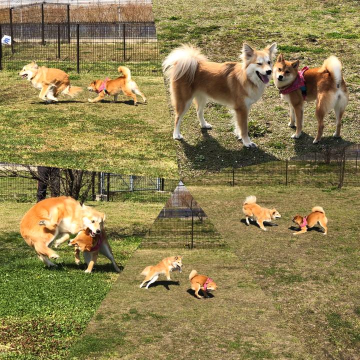 F3f66f13 cabb 418e a192 22b4931ee452 1553340385789