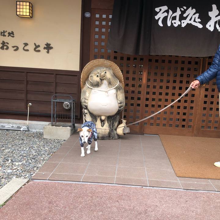 F3f681f2 067b 4282 ae54 e8eee1048398 1556628243414