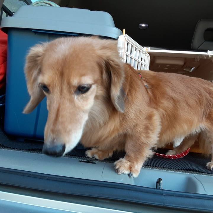 F3f68fe1 1da9 4b8a b6b8 3a51a81a6044 1604059987658