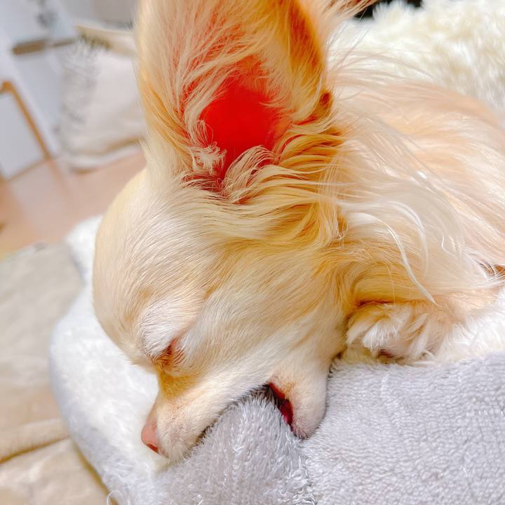 F3f6cfeb 1e3a 4837 bb1b f603b73726b2 1648722937561