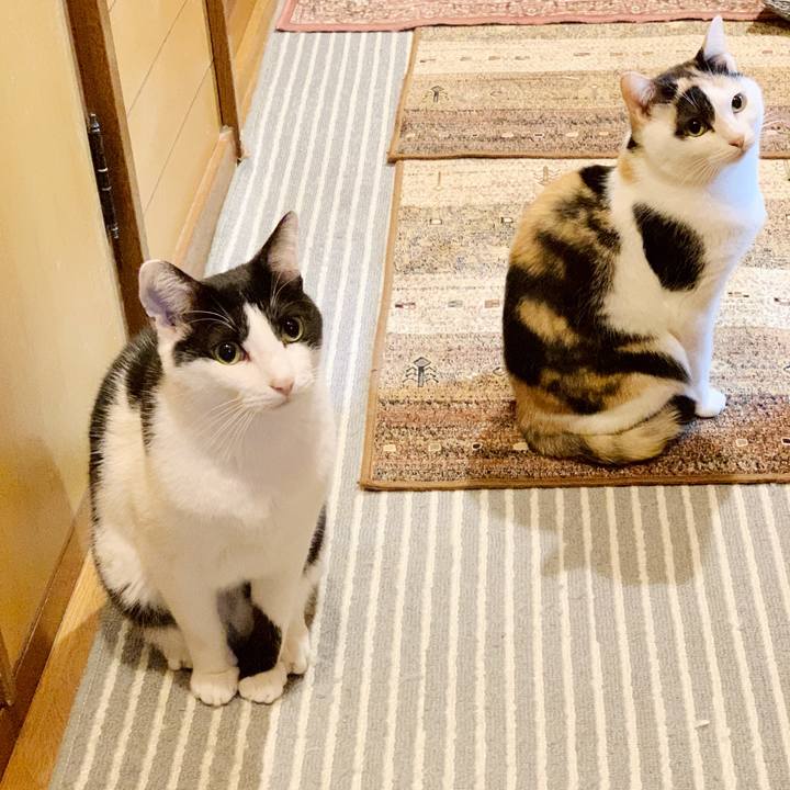 F3f715be 87b6 45d2 89d6 e24f222c3b28 1543720098808