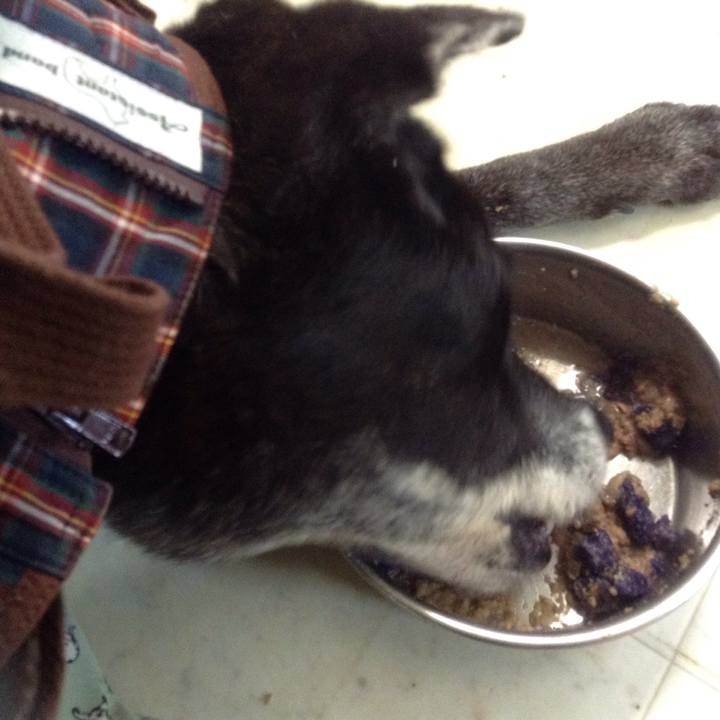 F3f718ae b5a9 40ba 896f 5632672a8f17 1517382746122