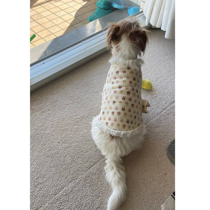 F3f725ad df59 4318 8b0a 1aa0cc03b8c4 1770081300314