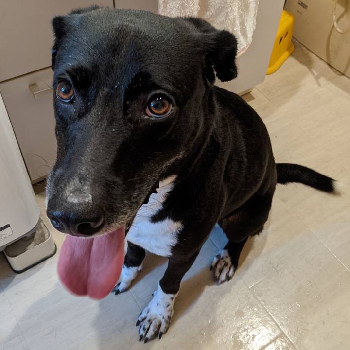 F3f7341f cc24 4448 b7b4 888bf5aef20d 1633336643380