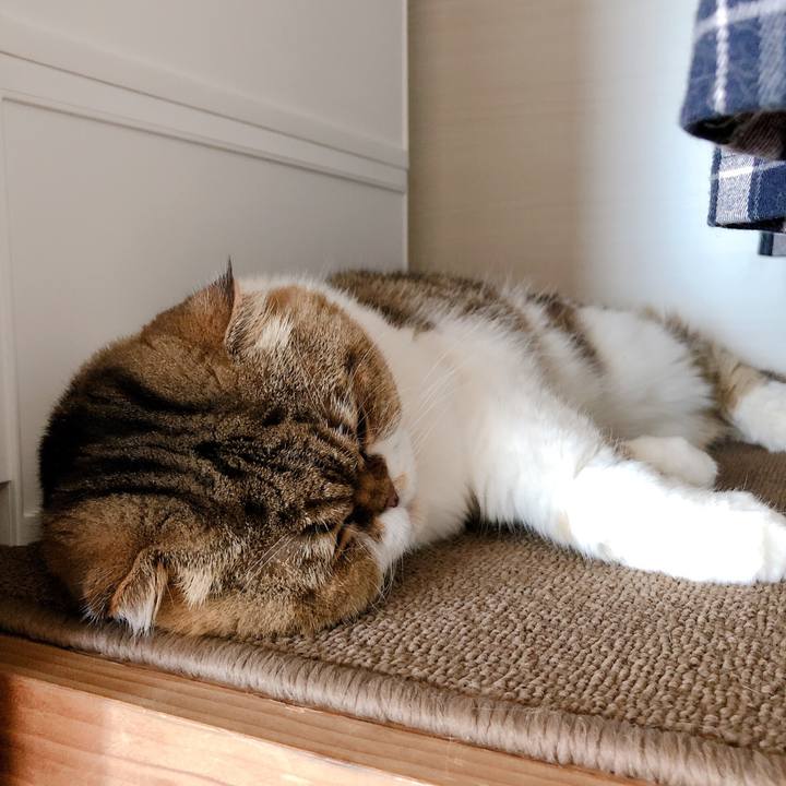 F3f76153 7a5f 40c0 86c2 96f461b2418f 1570244166134