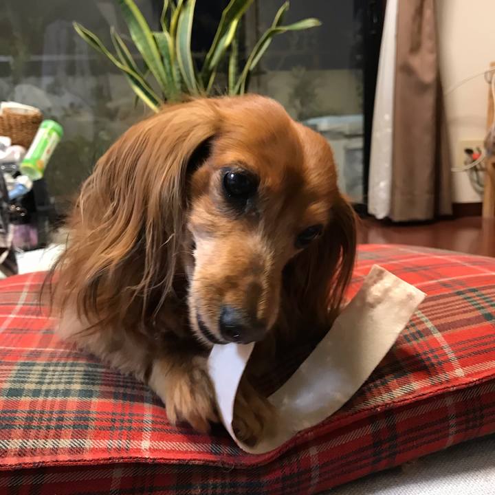 F3f790ac 06e1 4c17 a60c ca7c4b0e8ce1 1582794602676