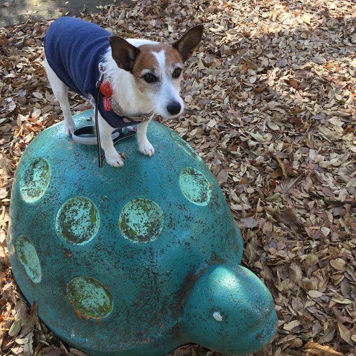 F3f7c0c5 f347 42f0 abce 5bad24807593 1606347432938