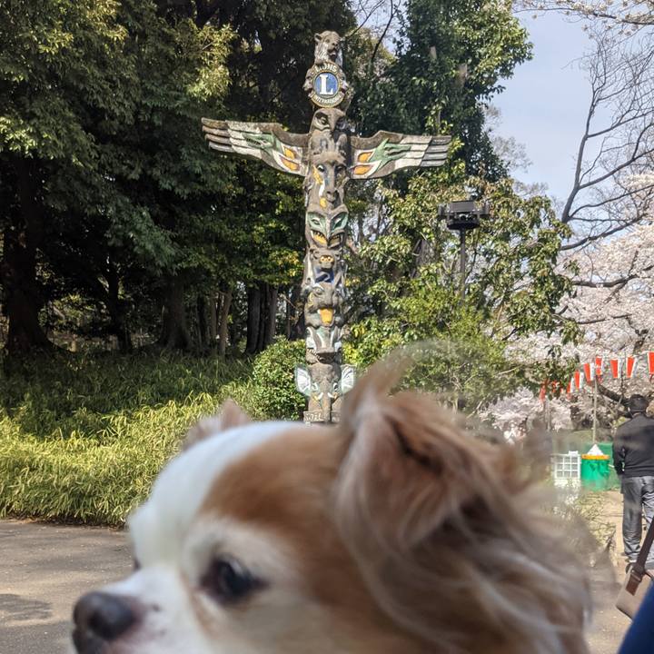 F3f7d4d0 34ac 47e8 9ab5 21972cc9505b 1616819705139