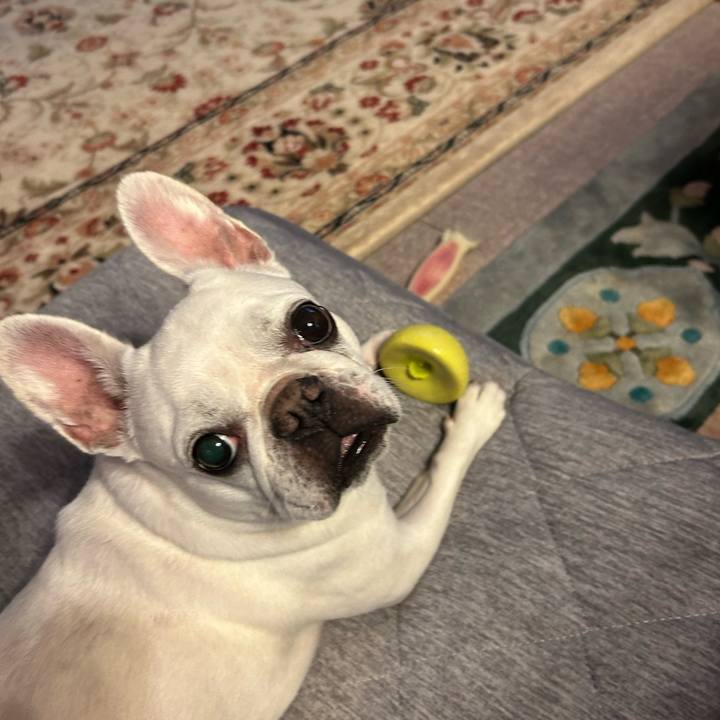 F3f7d7fa ed78 4967 bc68 446a08c84bec 1689894457285