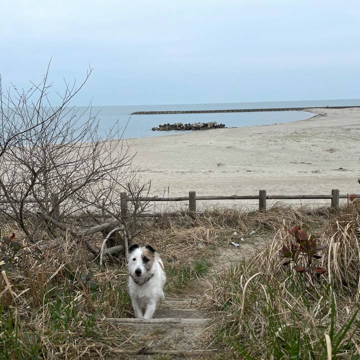 F3f7ecd7 b6bd 4cb2 aa84 d64382191853 1616625125249