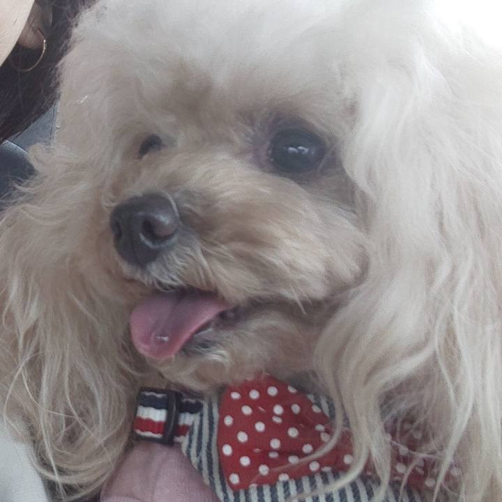 F3f80719 87c0 4d05 8189 4ac447fe4649 1668587333271