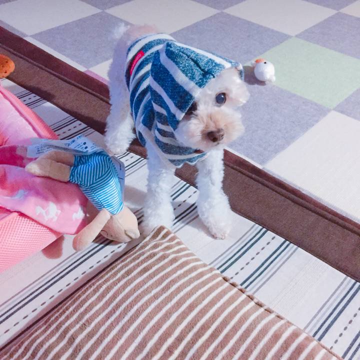 F3f8385a 0b96 4b44 a43e d7de5af177da 1539412448911