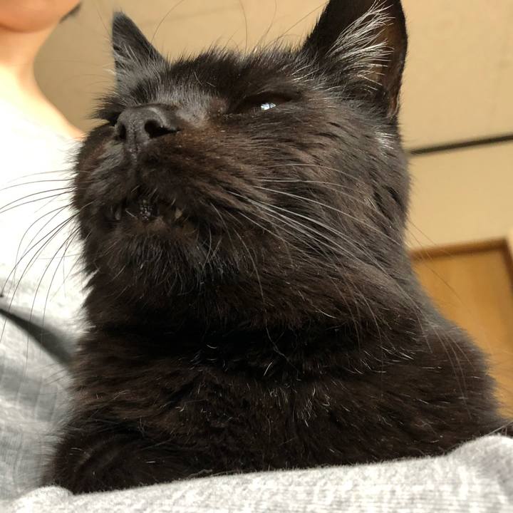 F3f85898 982c 4640 a348 84cab199dc2a 1589965171176