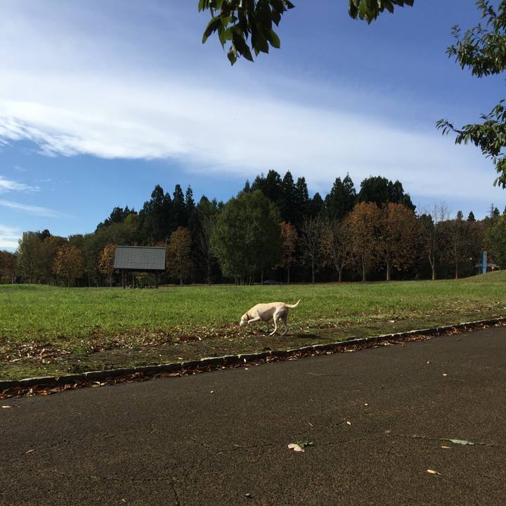 F3f89792 6cb7 4855 b8a2 b03a6f1270f2 1509502894955