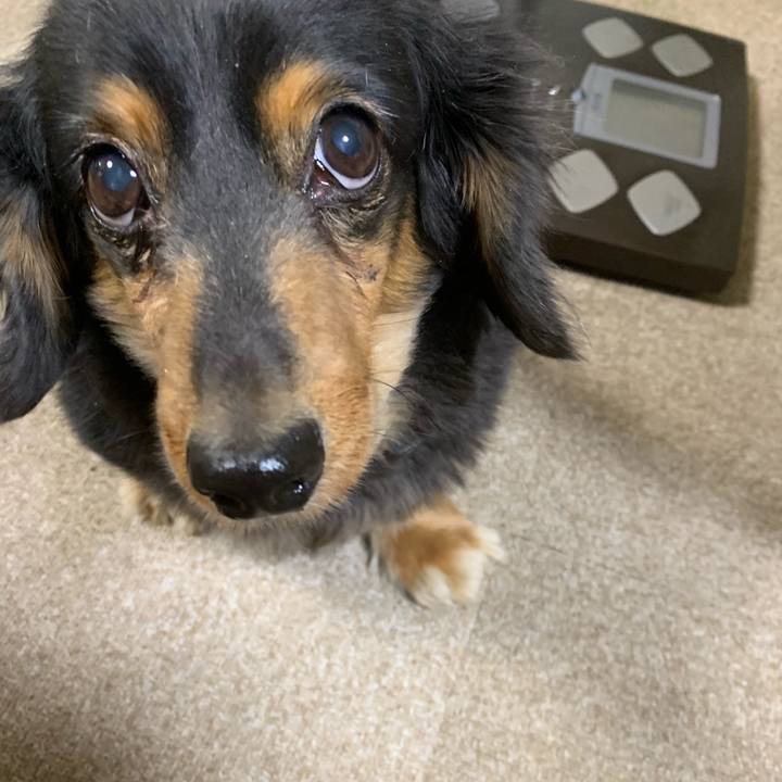 F3f89c59 98d0 4648 829c 5ac9eb114071 1576618440601