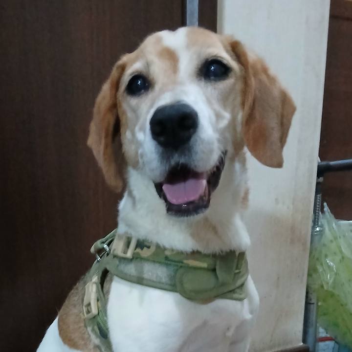 F3f8a47a 06fc 4f76 a55c 568b595ac5b4 1751855642330