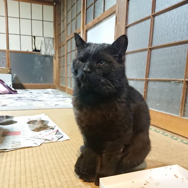 F3f8a4a9 39cd 49de b4b5 afed53a26dcc 1619261982800