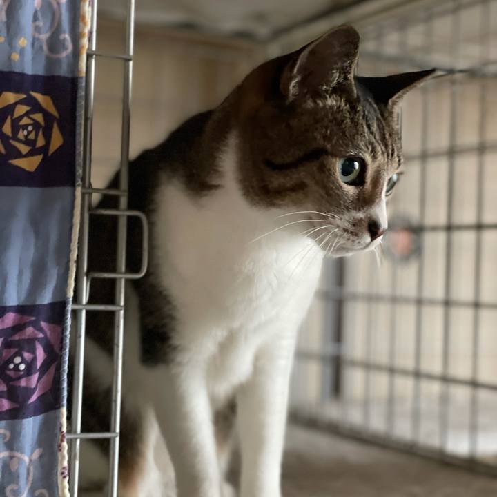 F3f8a55d 2a95 4bcc 989c 98ac00674118 1609117304866