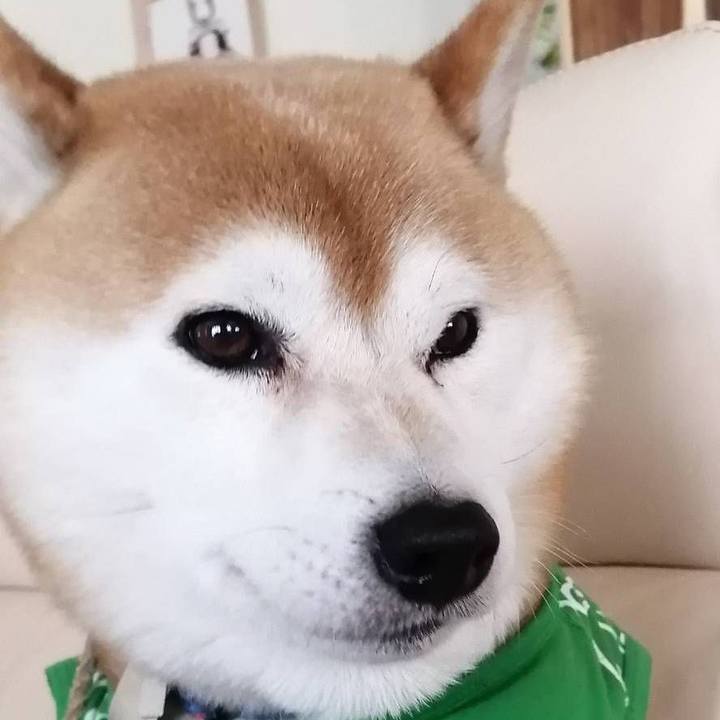 F3f8acb2 c765 4192 9ada 26b9043d055f 1587980076883