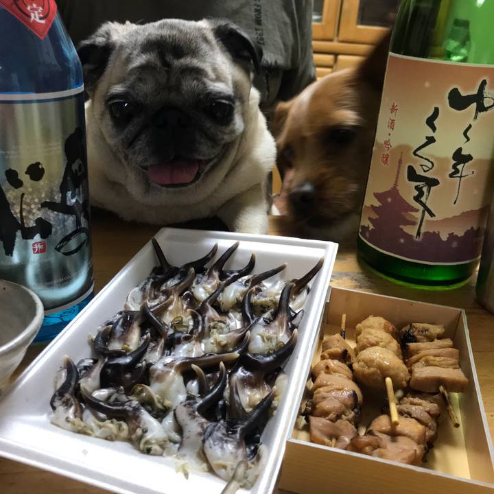 F3f92437 8670 4599 ba34 00c8d1afe728 1557489297056