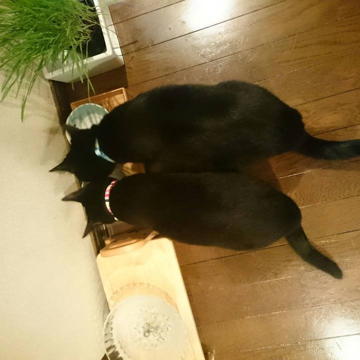 F3f9410f 2b05 435d 9e62 b0a0e1865660 1516668939390