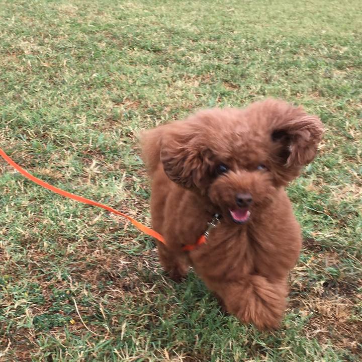 F3f9418c 20a6 41d3 8ac0 61bea6646d30 1535514595676