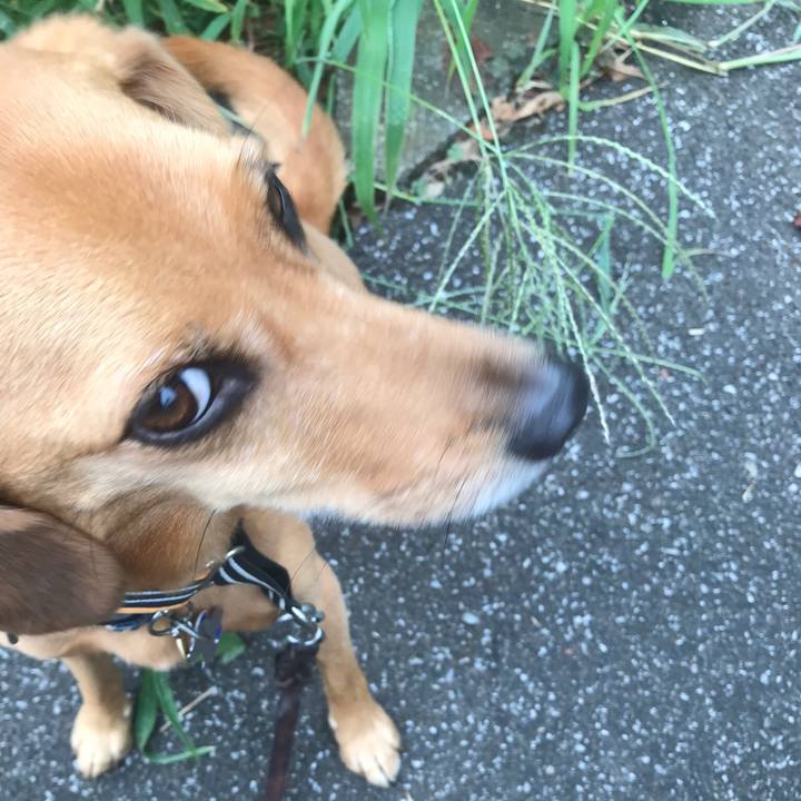 F3f94e4a 7a51 421c b388 eb0bb3e9ac06 1558520601820