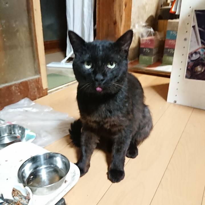 F3f99fc6 326e 491a bbf0 c494292f7449 1625742784261