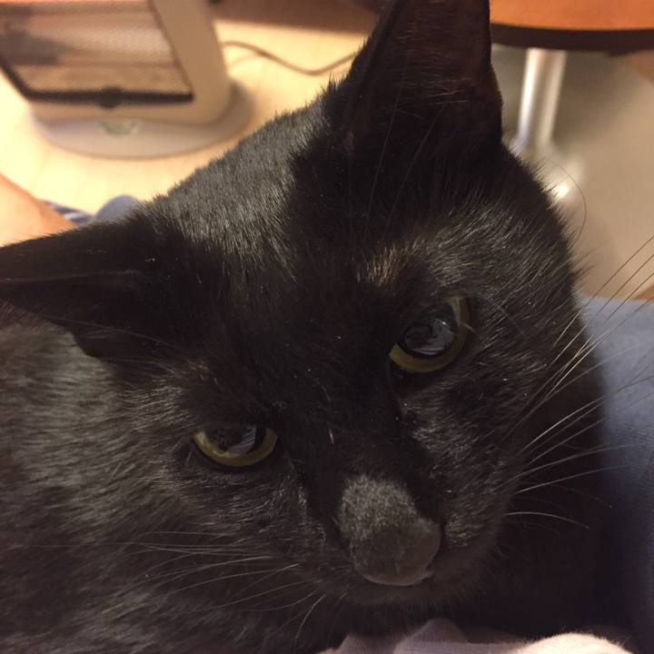 F3f9a687 9454 4758 9cfc eeaa2a9d329b 1509373439623