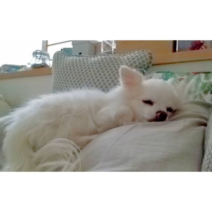 F3f9abdf e688 478d b51e 1f451e889425 1660462501143