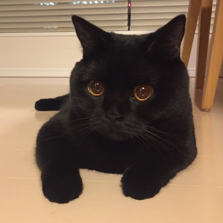 F3f9ad69 0f24 469d 9072 edd545ca866e 1509107443031