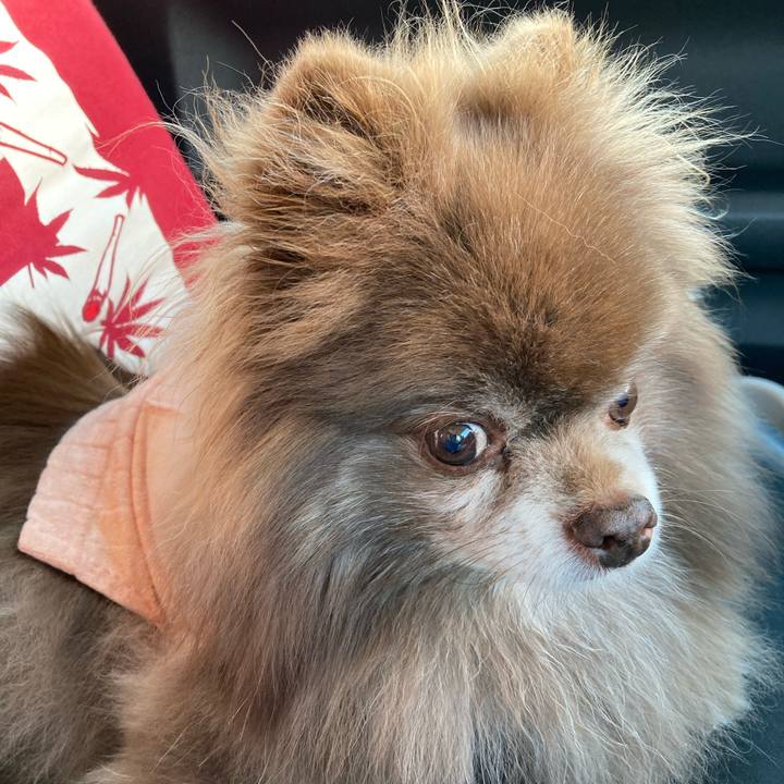 F3f9b2b4 e9b6 42a1 971a 025f9c2be9b1 1681778203435