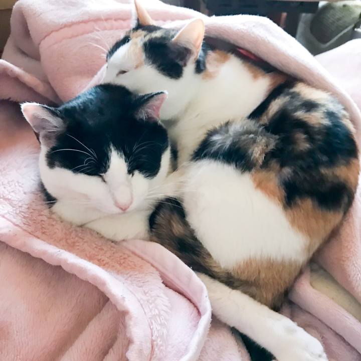 F3f9b7c1 f286 4677 8388 efdad11df9fd 1514884329434