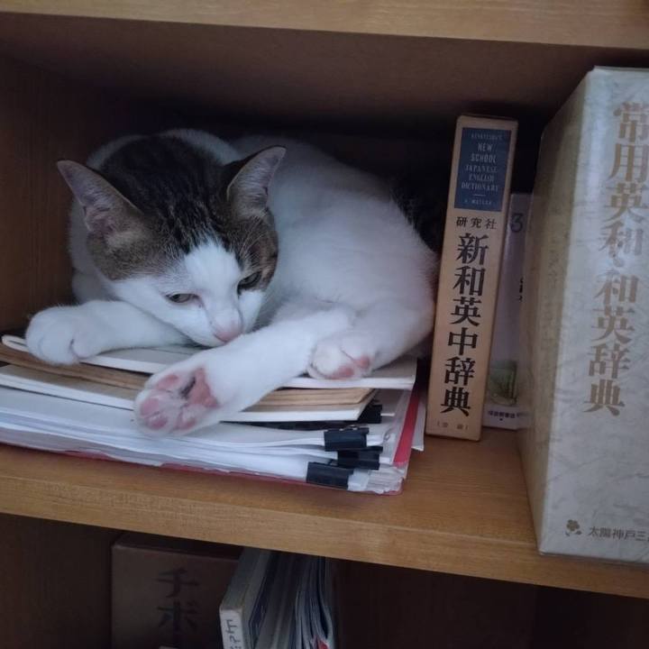 F3f9de16 2b7d 4ef8 a44f 844803b242ee 1752969643919