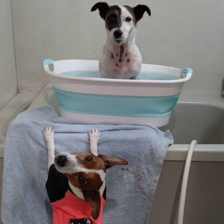 F3f9f0b0 9a1b 450e 96d2 fd6fbc8641c9 1659003222737