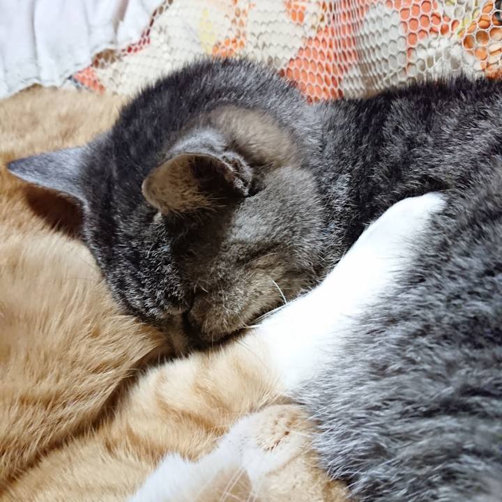 F3fa2ae2 5deb 4dea 83e2 bcbf0469e761 1577797895131