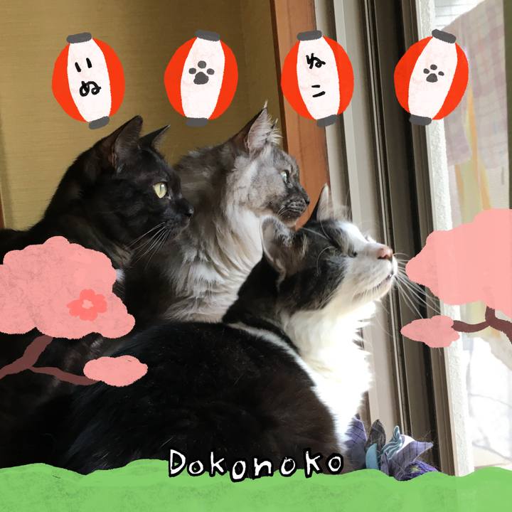 F3fa7a18 fe70 42dd aaf4 aa80ef97e9a5 1712267334449