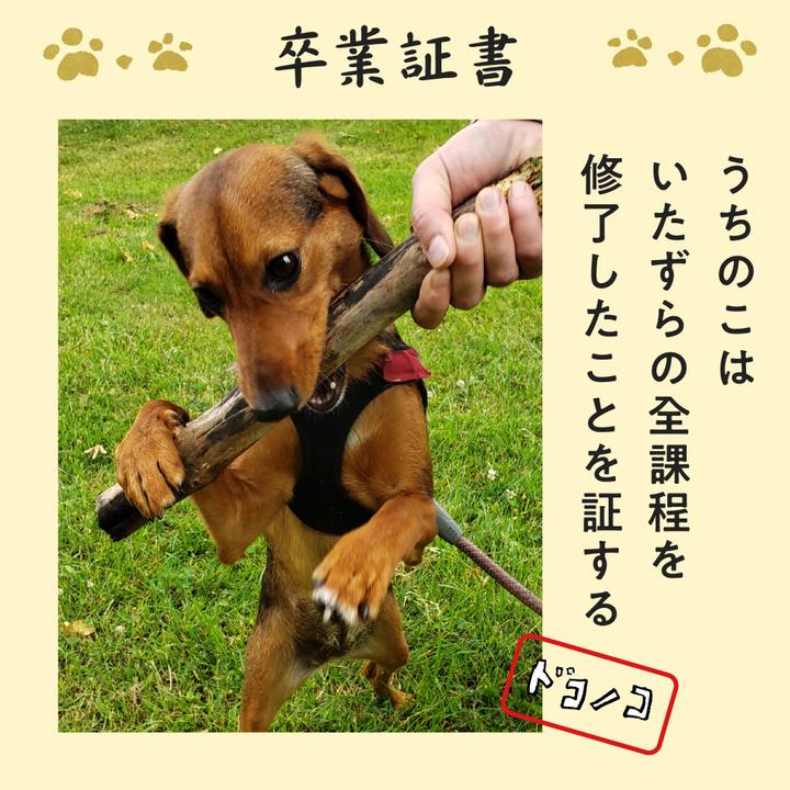 F3fad7c0 83d6 4412 961b ca7506230dee 1772053332272