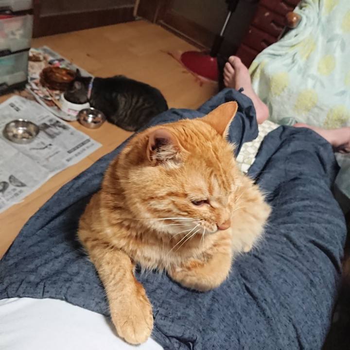 F3fb3477 cabd 497e 8e95 5407096b8e53 1656319845061