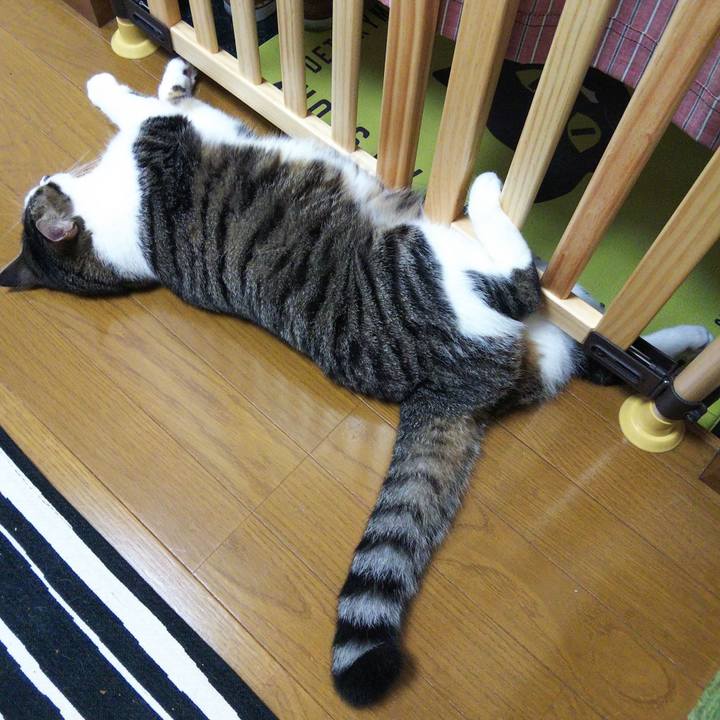 F3fb3571 c787 4ac9 bd84 d8ac353d1ea3 1632048605735