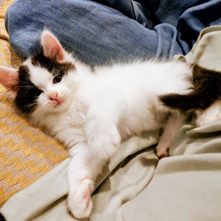 F3fb4ef5 626a 4f79 bbfe b11f0bb5475e 1758355738511